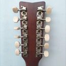 Acoustic Guitar 12 Fg12-250