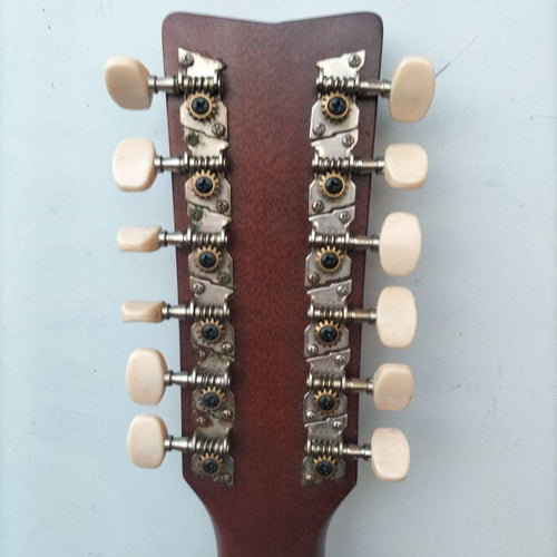Acoustic Guitar 12 Fg12-250