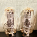 Vacuum Tube 300B Electron Selected
