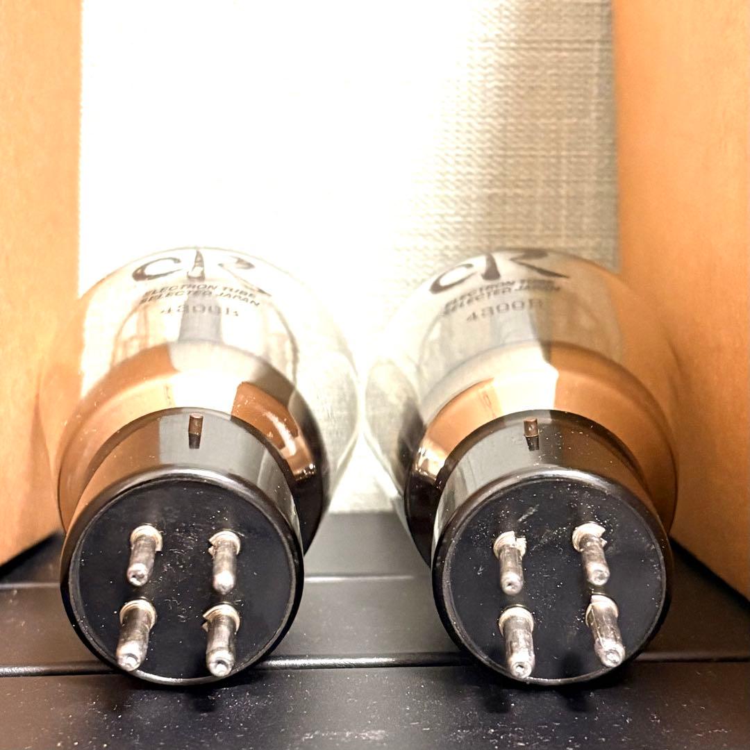 Vacuum Tube 300B Electron Selected