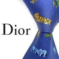 Christian Dior Ties