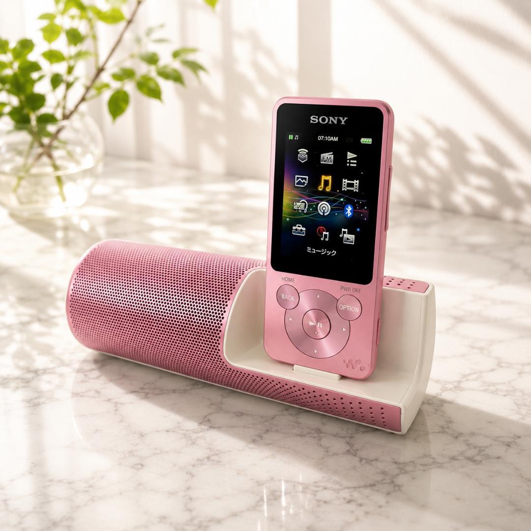 Sony Digital Audio Players Nw-S15 0284