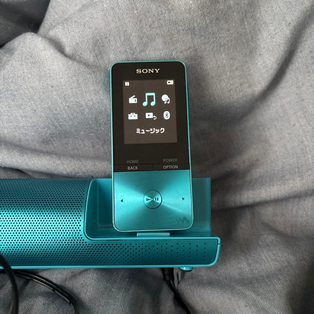 Sony Digital Audio Players Nw-S313 4Gb