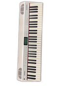 Roland Keyboard Electronic Piano Go-Piano 61-Pa. Alexa