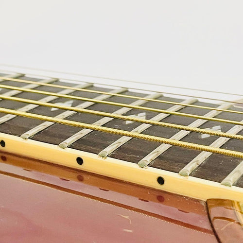 Yamaha Acoustic Guitars Apx-10