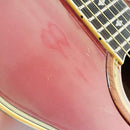 Yamaha Acoustic Guitars Apx-10