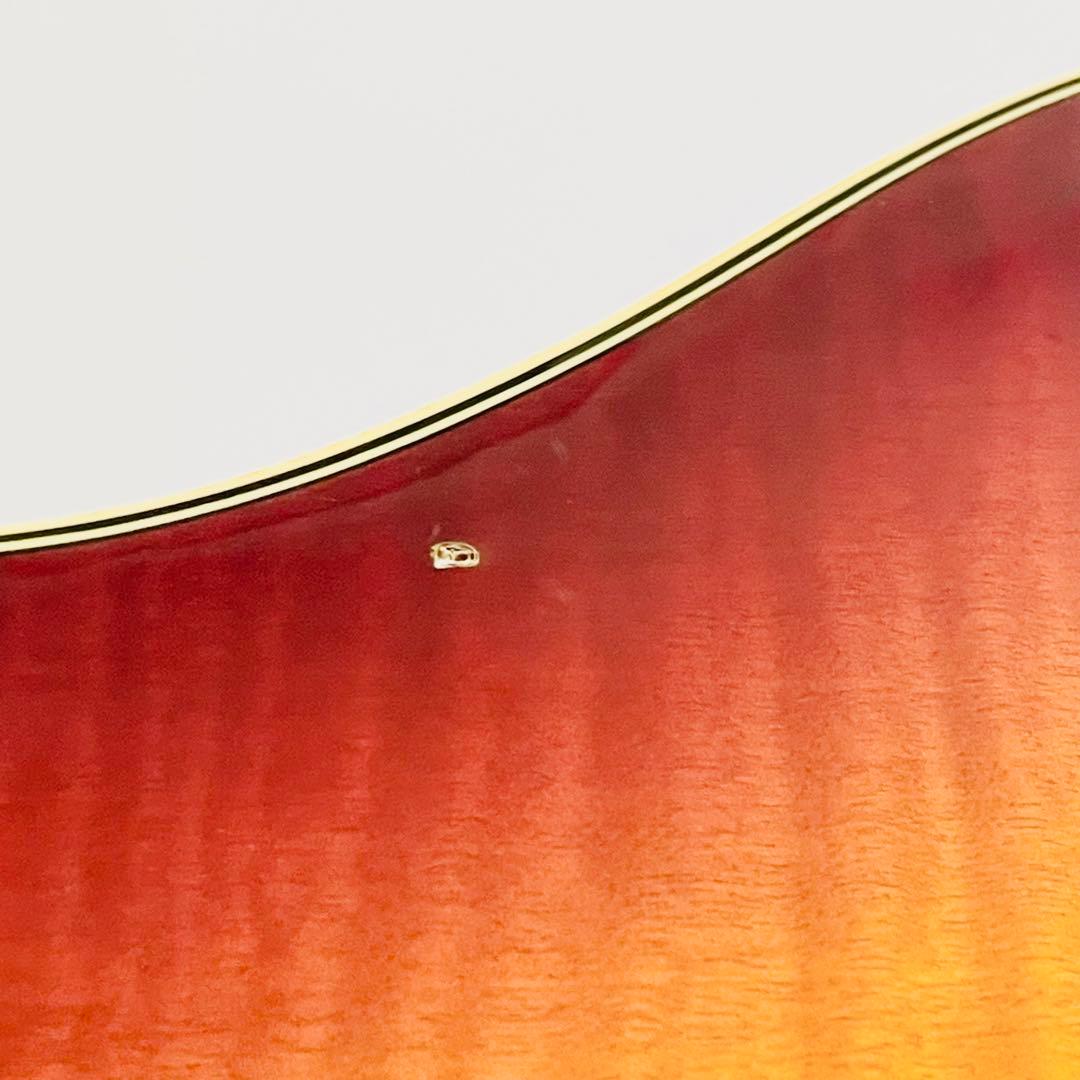 Yamaha Acoustic Guitars Apx-10
