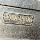 Yamaha Acoustic Guitars Apx-10