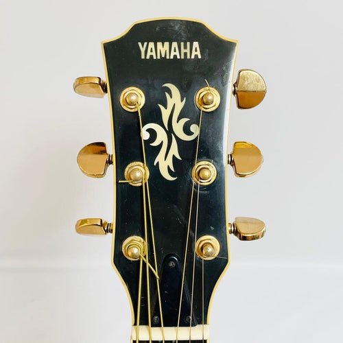 Yamaha Acoustic Guitars Apx-10