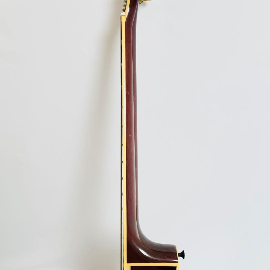 Yamaha Acoustic Guitars Apx-10
