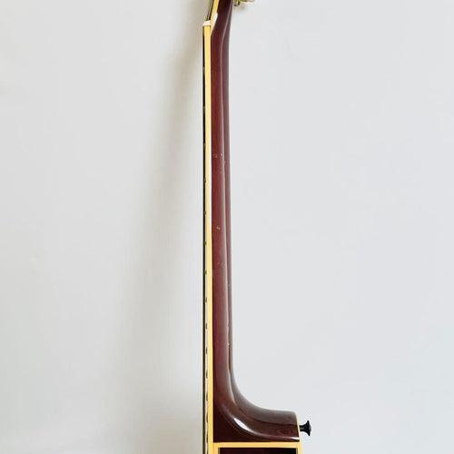 Yamaha Acoustic Guitars Apx-10