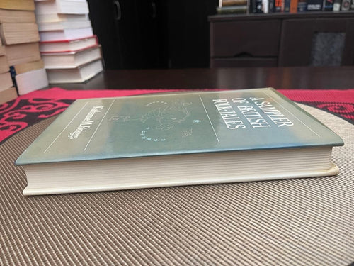 Foreign Book A Sampler Of British Folk-Tales
