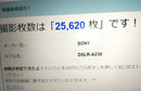 Sony Digital Slrs 230