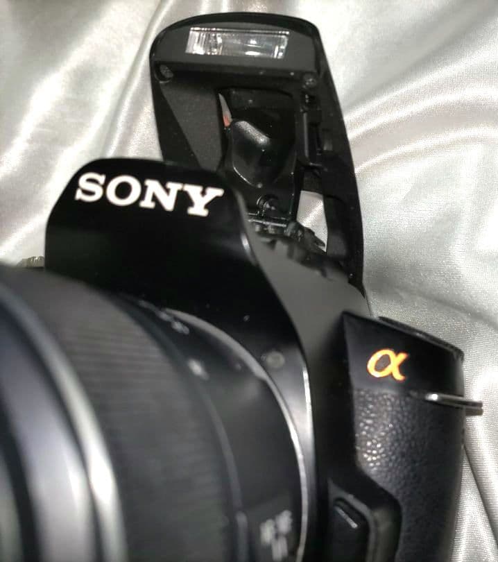 Sony Digital Slrs 230
