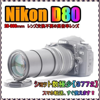 Nikon Digital Slr D80