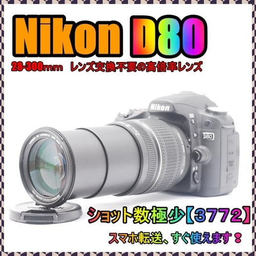 Nikon Digital Slr D80