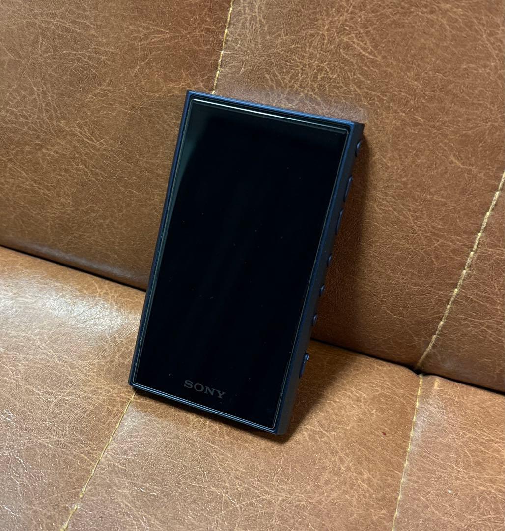 Sony Digital Audio Players 128Gb Sd Nw-A306 32Gb