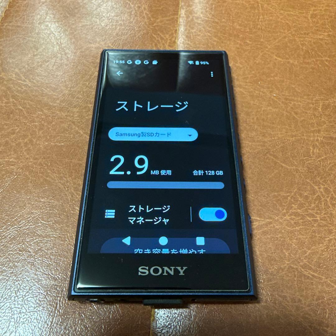 Sony Digital Audio Players 128Gb Sd Nw-A306 32Gb