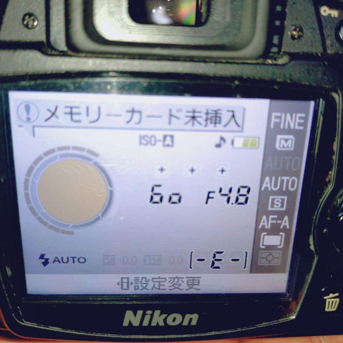 Nikon Digital Slr 3644 D40X
