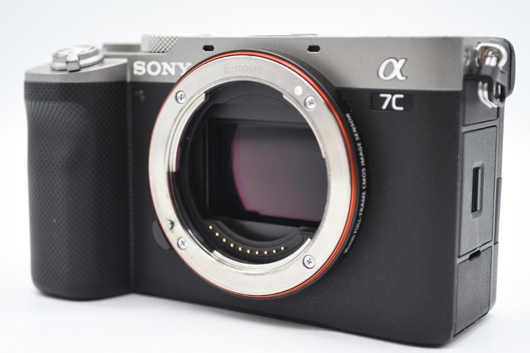 Sony Mirrorless Interchangeable Lens Cameras 7C