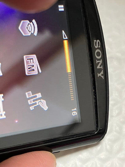 Sony Digital Audio Players (Nw-A866)