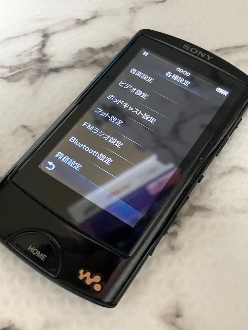 Sony Digital Audio Players (Nw-A866)