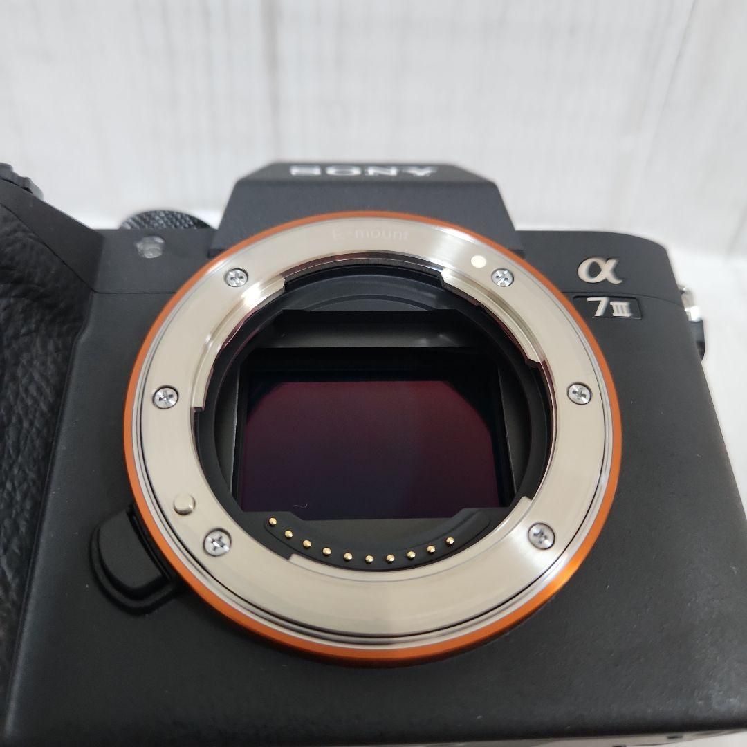 Sony Digital Slr 7 Iii Ilce-7M3