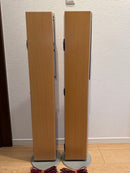 Yamaha Speakers Ns-225F