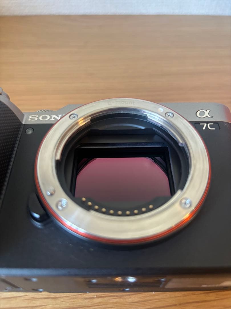 Sony Mirrorless Interchangeable Lens Cameras 7C