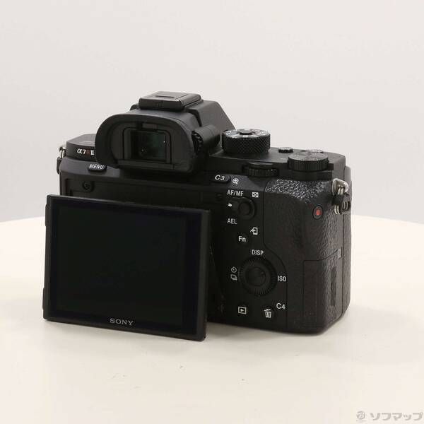 Sony Mirrorless Interchangeable Lips 7R Ii 368