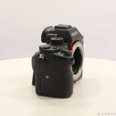 Sony Mirrorless Interchangeable Lips 7R Ii 368