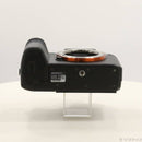 Sony Mirrorless Interchangeable Lips 7R Ii 368