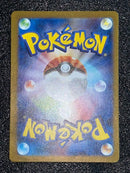 Pok Mon Tcg Trading Card Game V 001/019 Ex Rr 047/071