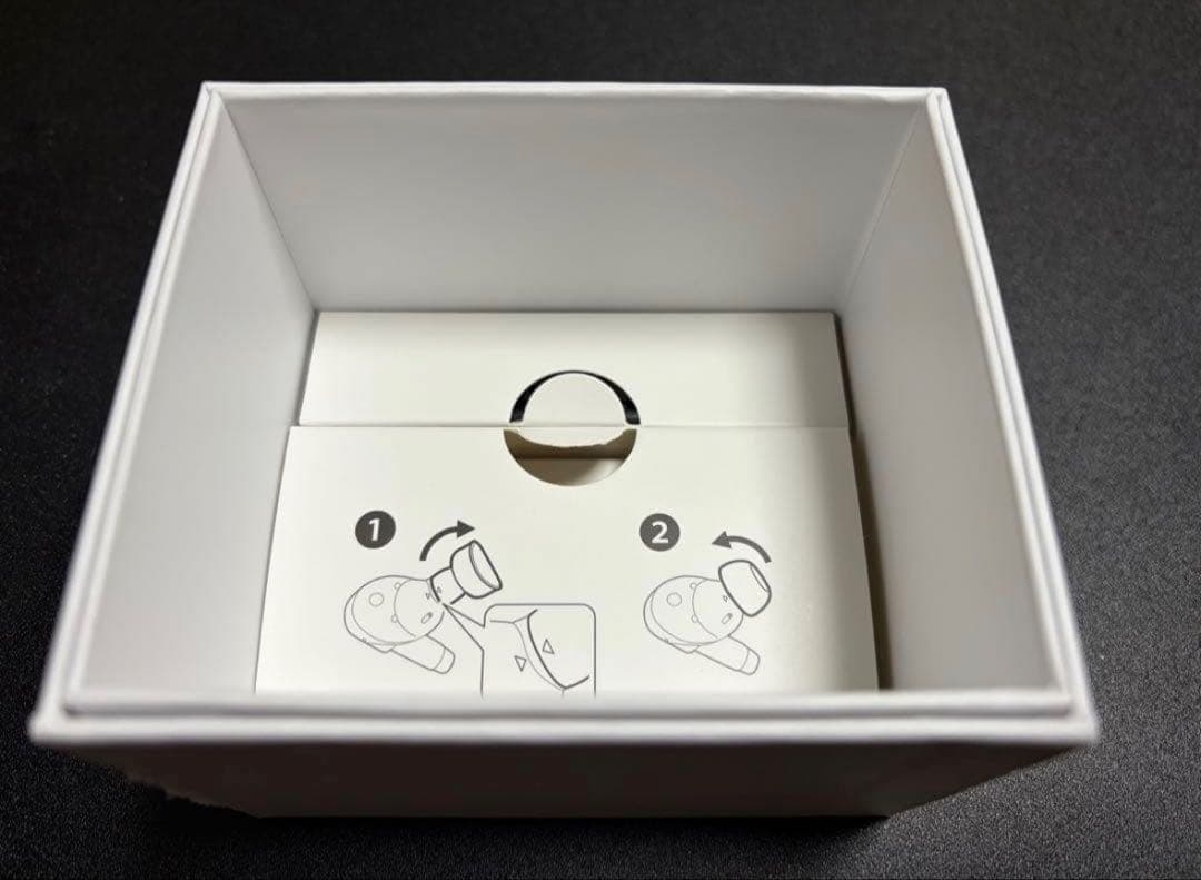 Victor Wireless Earphone Wood Master