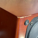 Speaker Denon Sc-C55Sg