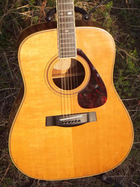 Yamaha Acoustic Guitars L-5 S B