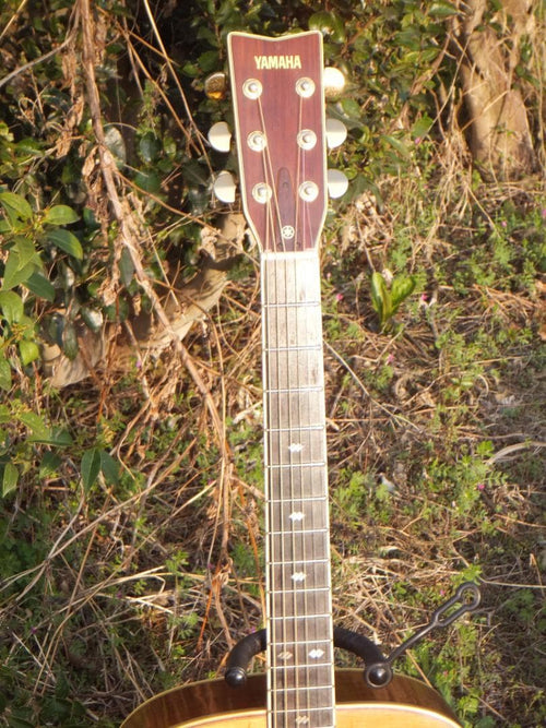 Yamaha Acoustic Guitars L-5 S B