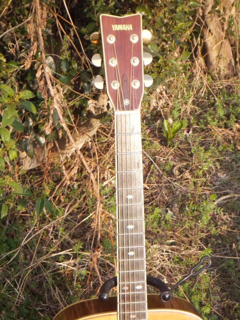 Yamaha Acoustic Guitars L-5 S B