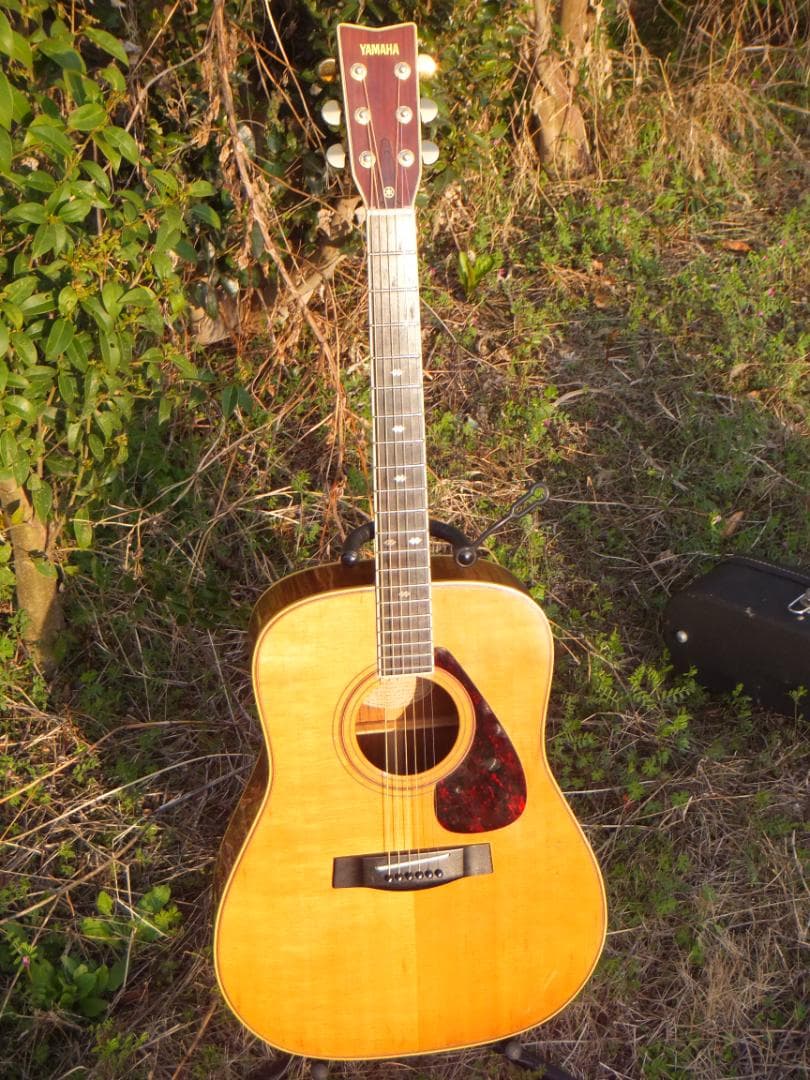 Yamaha Acoustic Guitars L-5 S B
