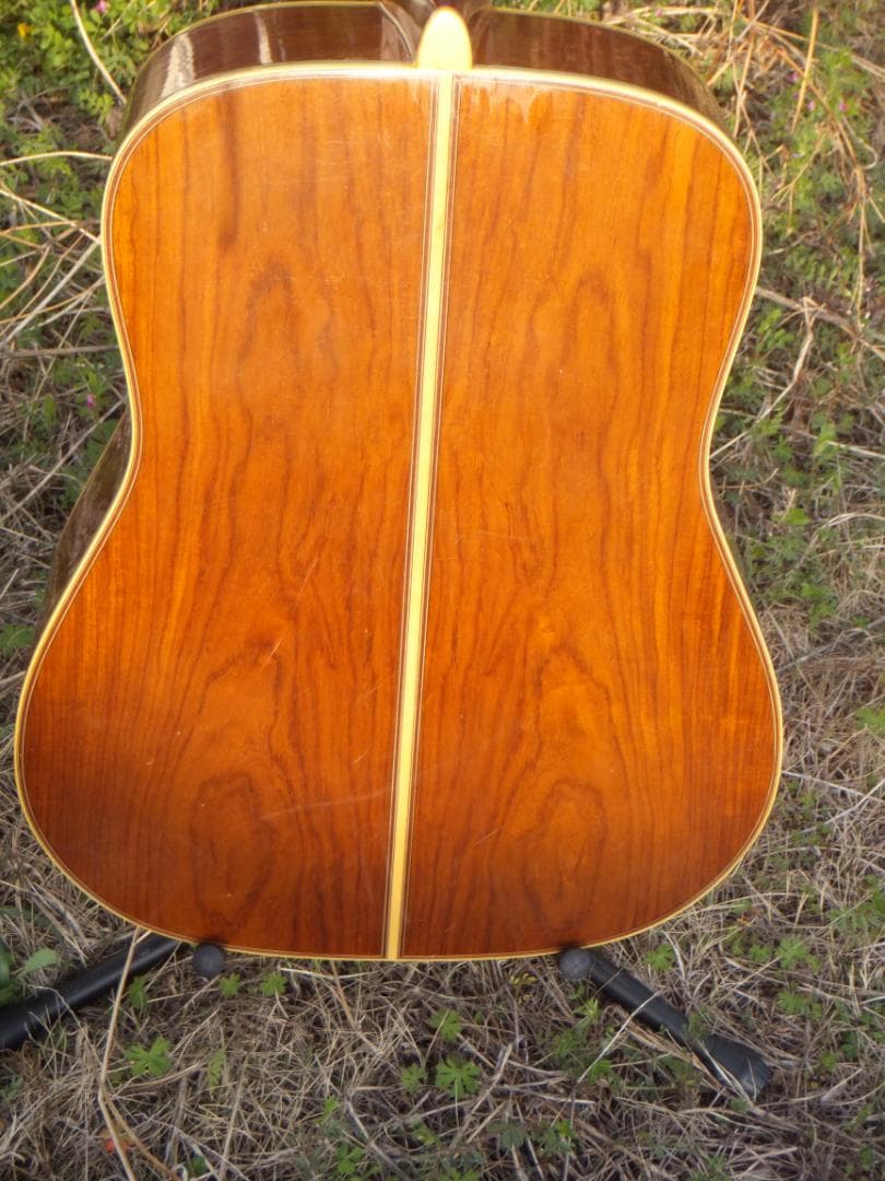 Yamaha Acoustic Guitars L-5 S B