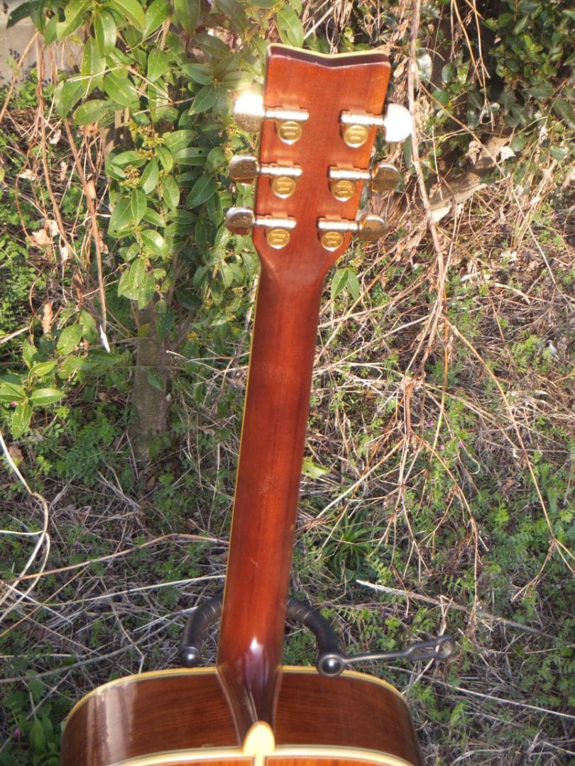 Yamaha Acoustic Guitars L-5 S B