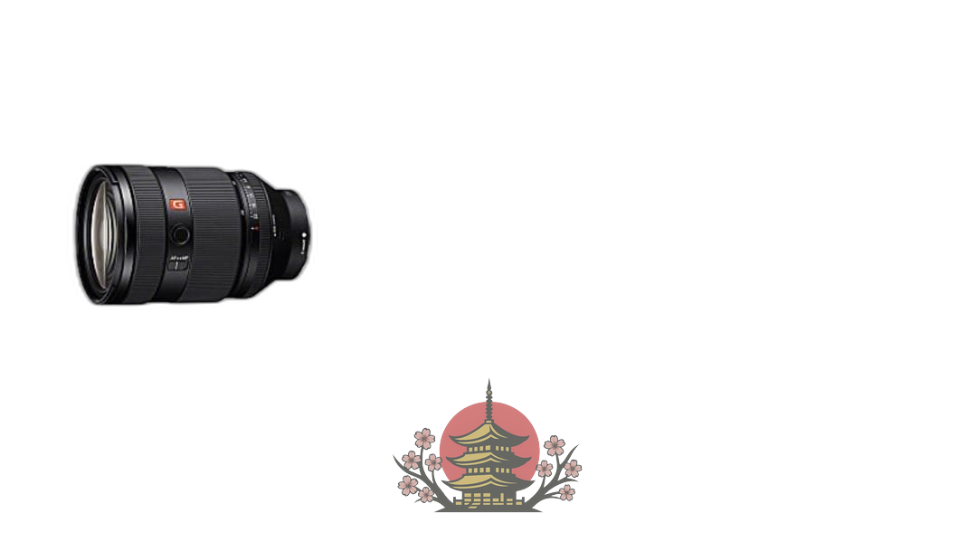 Sony Lens (Zoom) Fe 28-70Mm F2 Gm