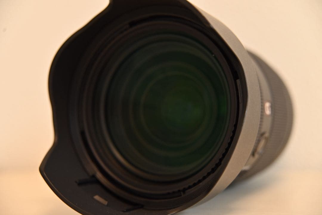 Sony Lens (Zoom) Fe 28-70Mm F2 Gm