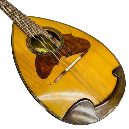 Mandolins Suzuki No.228
