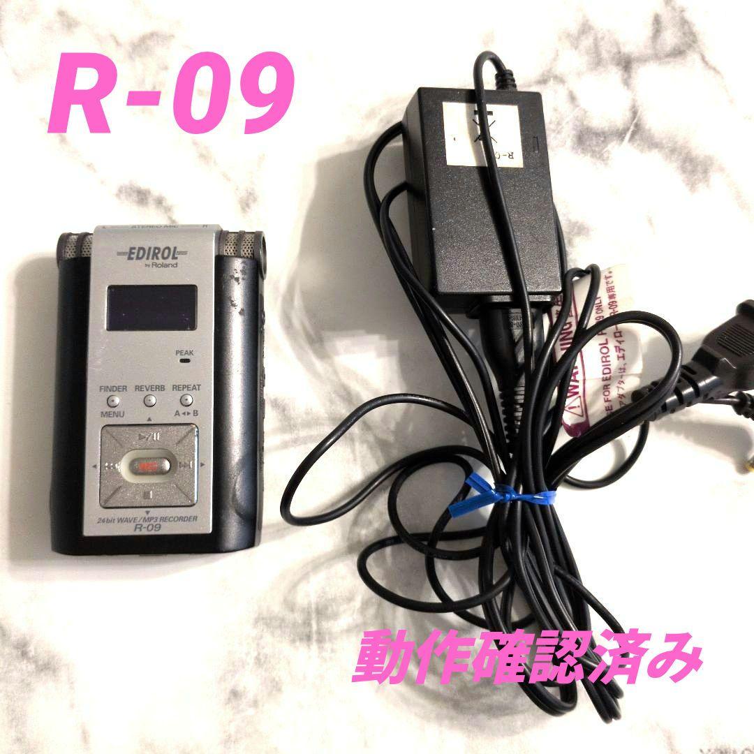Ic Recorder Voice Roland R-09