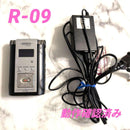 Ic Recorder Voice Roland R-09