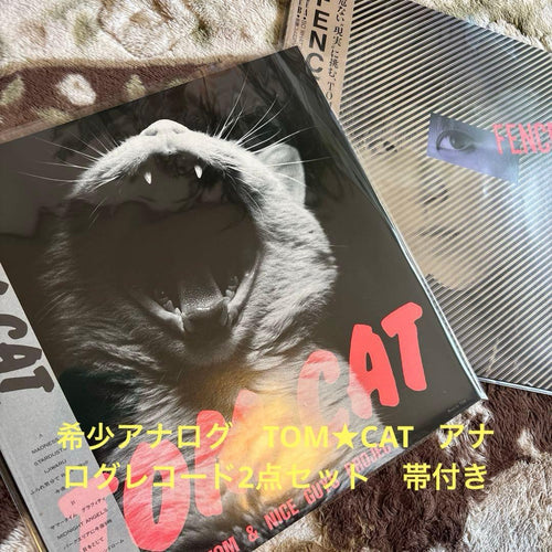 Japanese Music Tom Cat Tomcat Rock'N' Roll