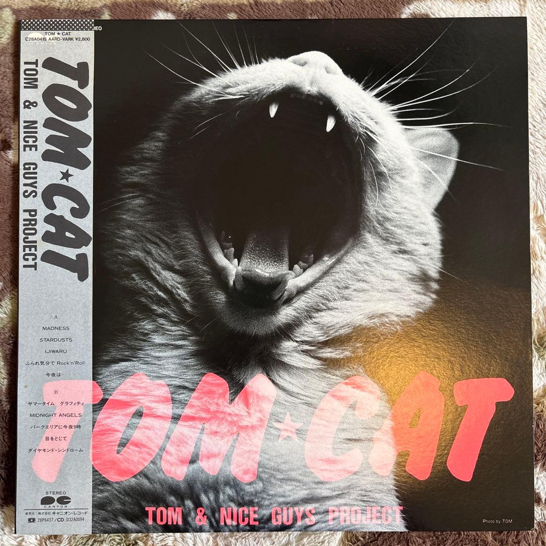 Japanese Music Tom Cat Tomcat Rock'N' Roll
