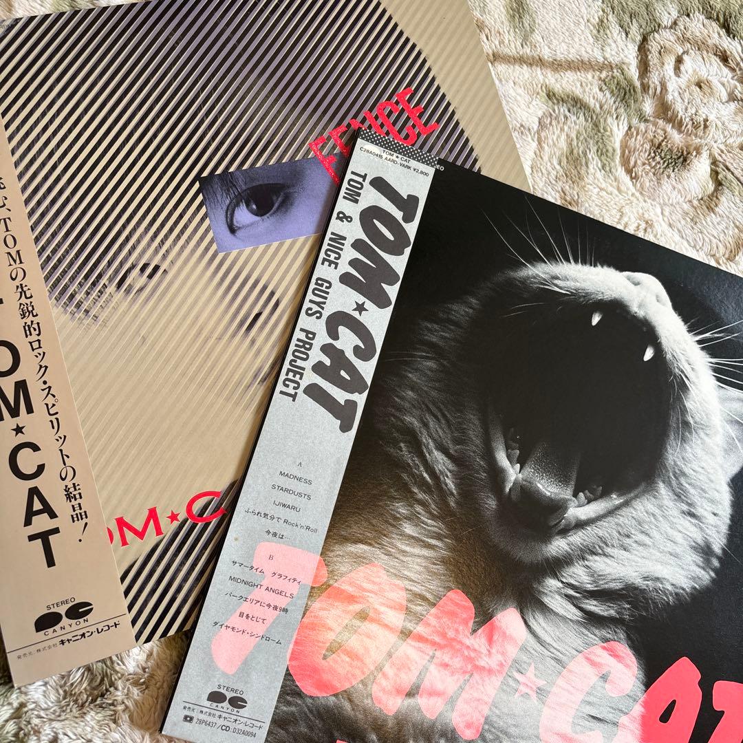 Japanese Music Tom Cat Tomcat Rock'N' Roll