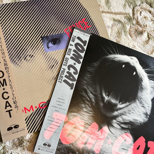 Japanese Music Tom Cat Tomcat Rock'N' Roll